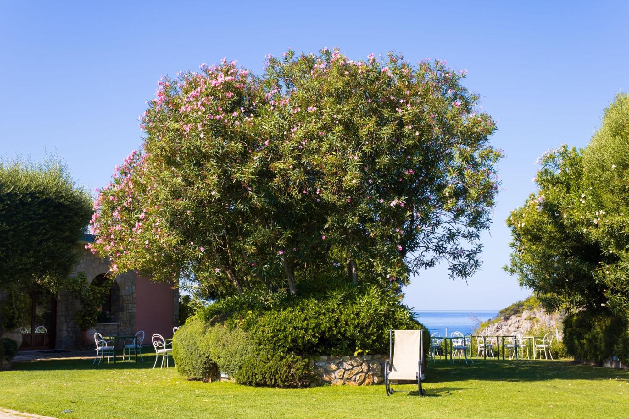 Hotel Capo D'Uomo Orbetello Luaran gambar